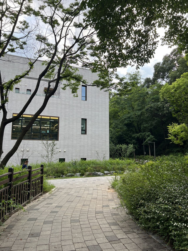 도서관과 숲속 공원