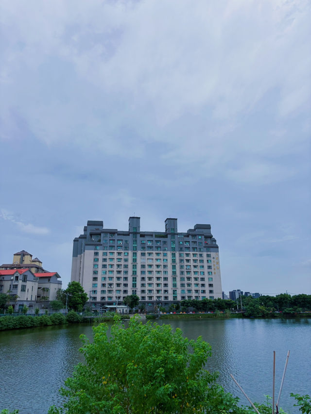 🌿祥鷺生態埤塘公園｜桃園市區裡的小森林，輕鬆散步賞水鳥的靜謐角落 🐦🌾