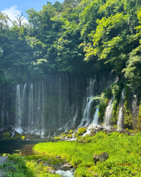 [Japan 🇯🇵] Otodomeno Falls: Nagoya's Hidden Natural Escape!