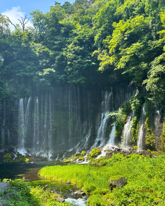 [Japan 🇯🇵] Otodomeno Falls: Nagoya's Hidden Natural Escape!