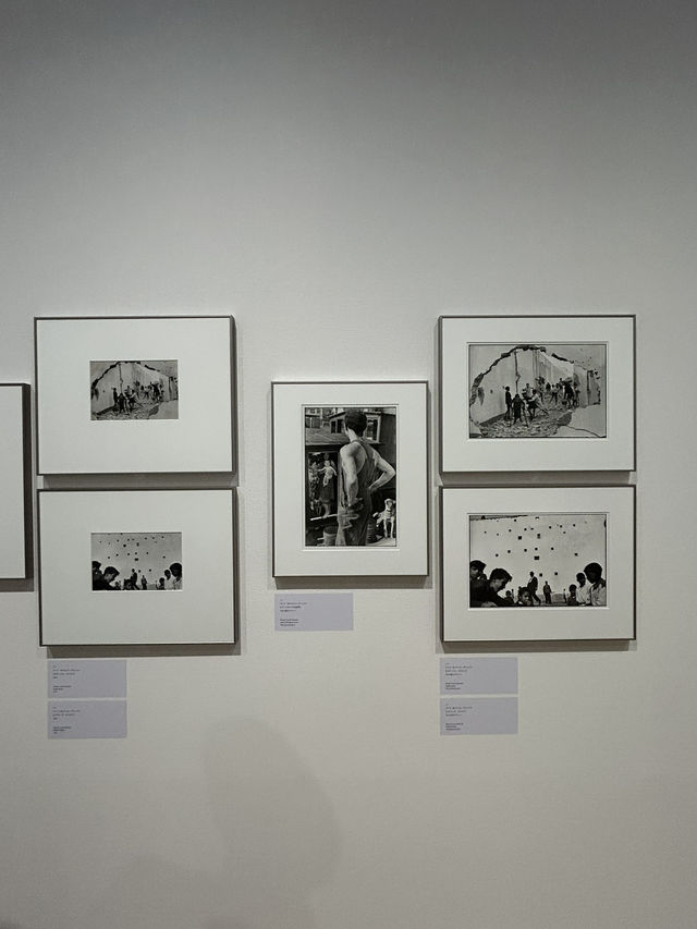 【東京・恵比寿】東京都写真美術館　トランスフィジカル