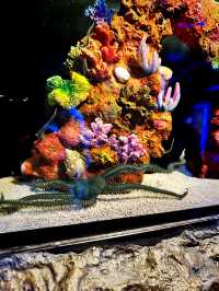 Coastal Currents & Wrecked Wonders at Aquaria KLCC