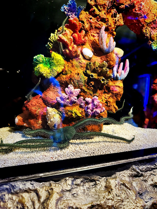 Coastal Currents & Wrecked Wonders at Aquaria KLCC