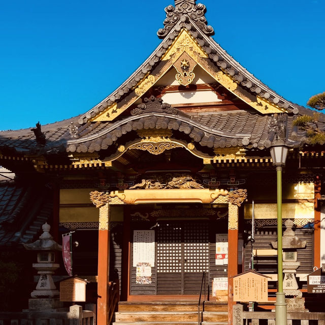 🌿 Solo Summer Serenity: Zenkoji Temple – Nagano’s Spiritual Heart