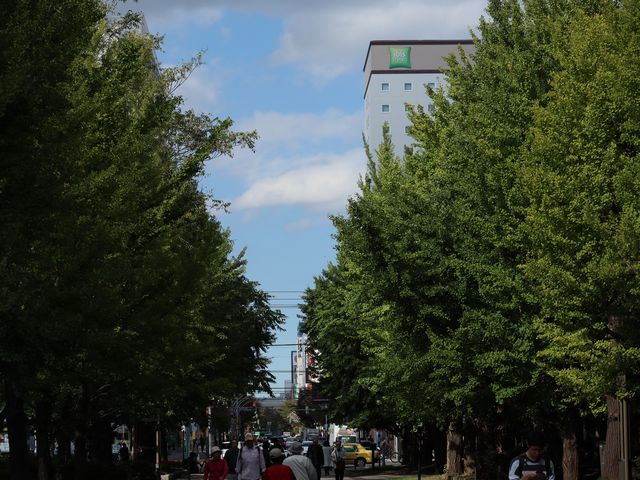 蘊藏札幌四季風景的都會秘境/札幌中島公園
