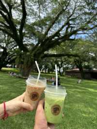 โรงบ่มริมน้ำน่าน คาเฟ่