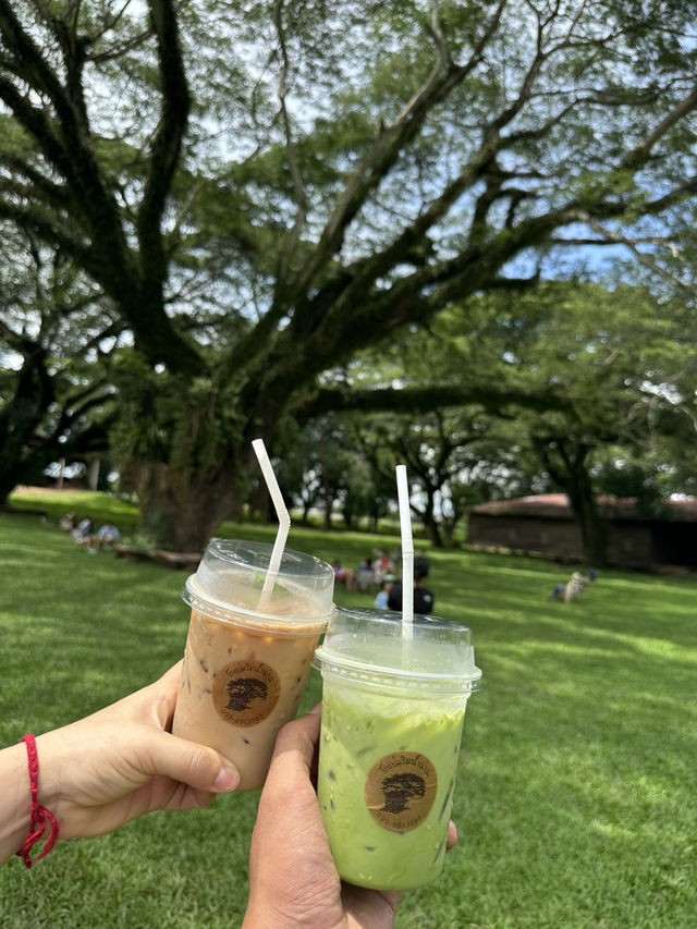 โรงบ่มริมน้ำน่าน คาเฟ่