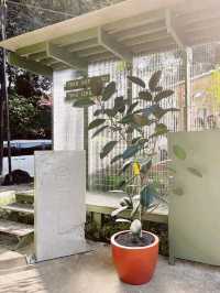 Kopi Tuku