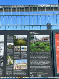 Elevated Escapes: Discovering the Art and Nature of NYC's High Line!
