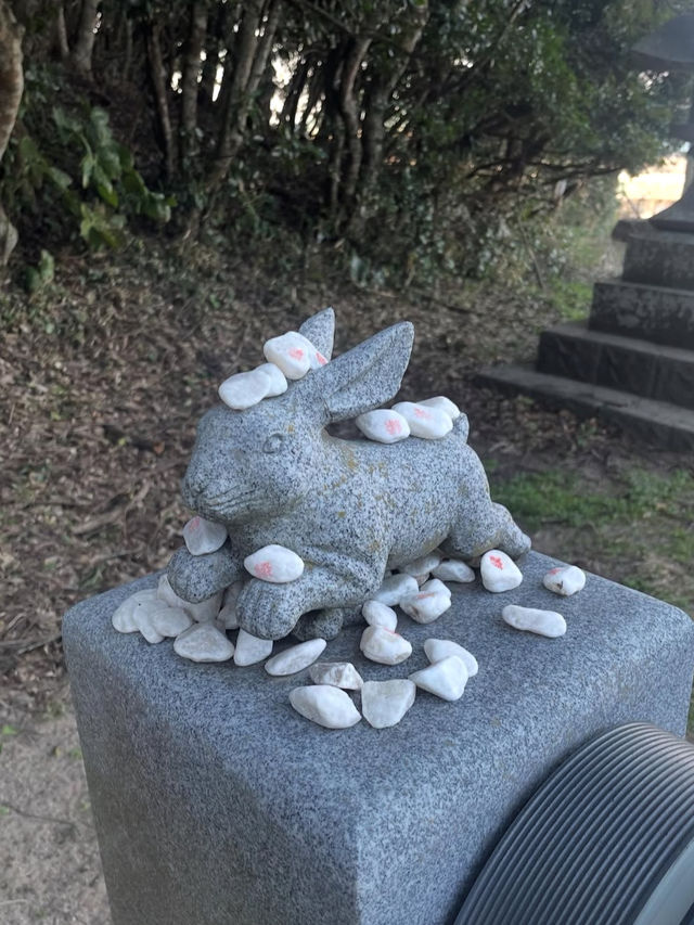 【神話の地で縁結び✨白兎神社で心清らかに】