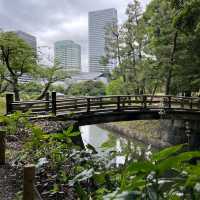 Hamarikyu Gardens