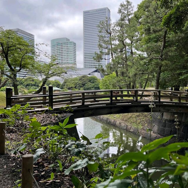 Hamarikyu Gardens