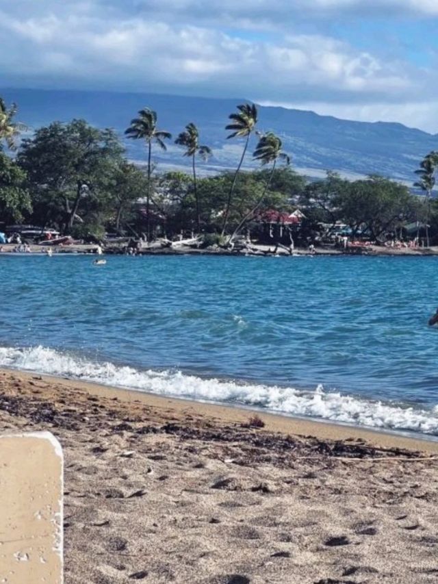 🌊🏝️奢享海島浪漫  ，威基基麗思卡爾頓