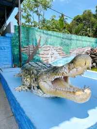 Croc Spotting at Teluk Sengat Crocodile Farm