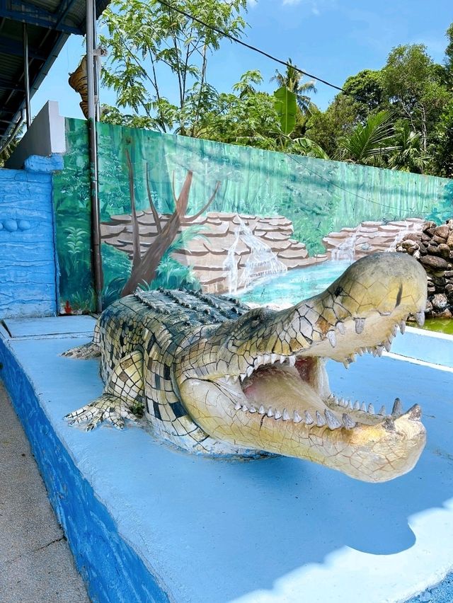 Croc Spotting at Teluk Sengat Crocodile Farm