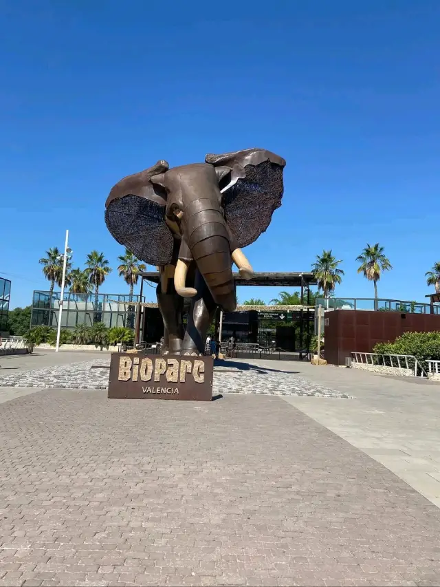 You Gotta See Bioparc Valencia, It’s Wild in the Best Way