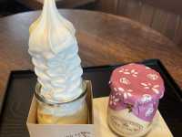 Here are some must eats in Tokyo and Nikko Japan!