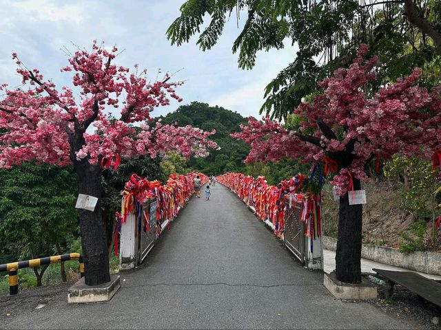 Hidden Hilltop Spot in Chonburi