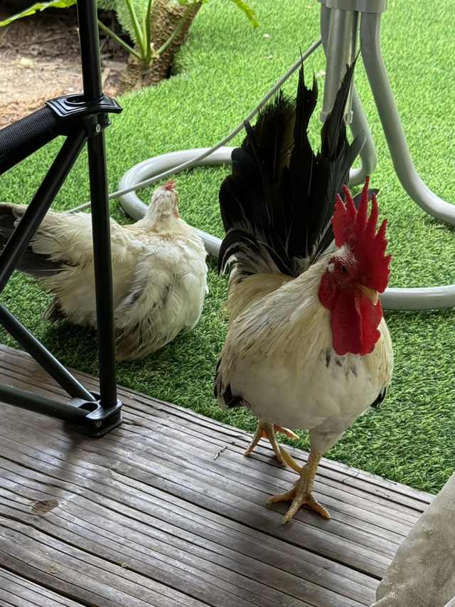 バンコクのへそ⁈「緑の楽園」バーンガジャオ🚲