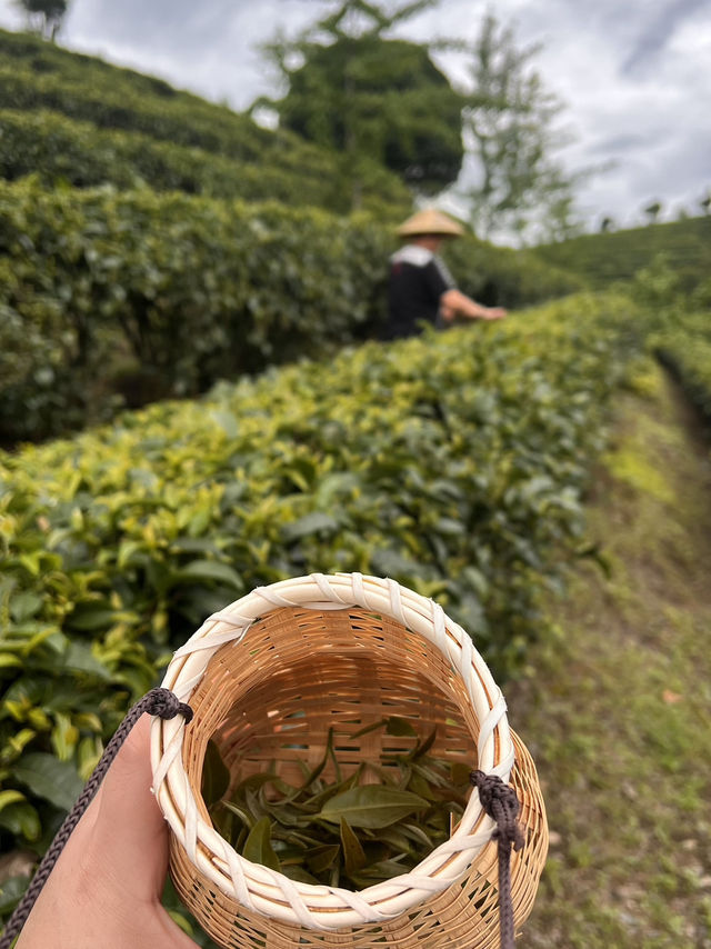 離開石屎森林，進入漫步伐原始生活，水墨畫勝地👍🏻