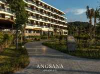 Angsana