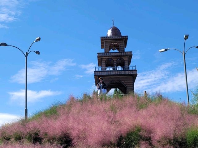 제주도 꽃보기 좋은 곳