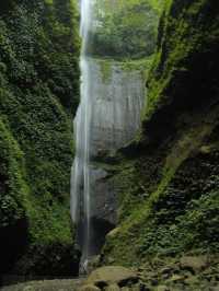 🌊 Discover Madakaripura Waterfall — Java’s Majestic Oasis