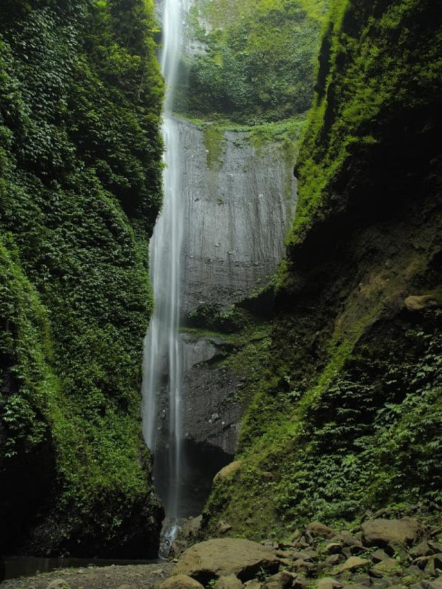 🌊 Discover Madakaripura Waterfall — Java’s Majestic Oasis