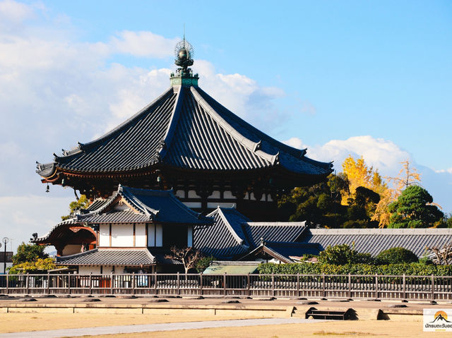 Kofukuji Temple รีวิว