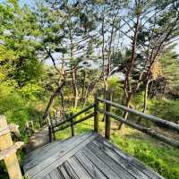 🇰🇷 How to spend 28 days in Seoul