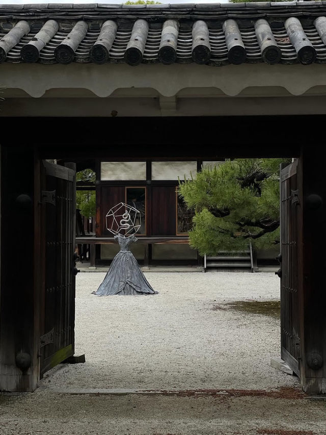 【京都御所】雅な空気に包まれる🌸皇室の歴史と美を感じる静寂の空間