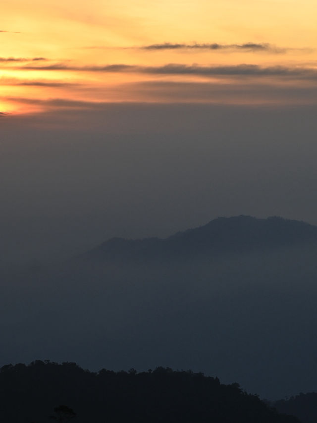 Mist Wars: When Genting’s Jungle launched A Dalylight Raid