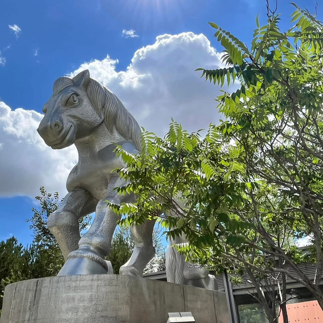 ♟️ Giant Mongol Chess in the Heart of Kangbashi! 