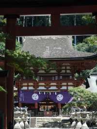 🇯🇵 和歌山の聖地、丹生都比売神社へ⛩️✨
