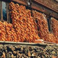 “Gateway to Longtang’s Timeless Miao Life”