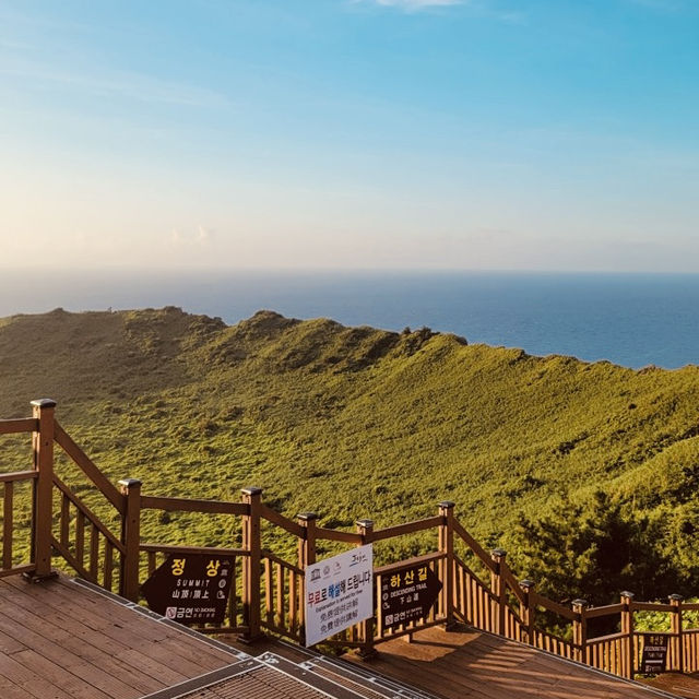 A Family-Friendly Adventure with Diverse Experiences