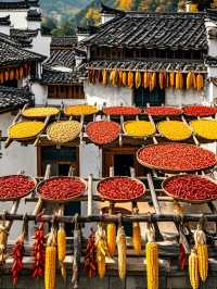 🏯 Huizhou Ancient City: A Walk Through Time