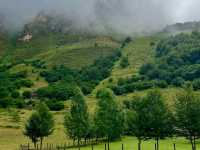Epic Peaks and Cow Bells