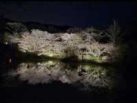 【御船山楽園】四季が彩る幻想庭園で、心ほどけるひととき🌸🍁🌌