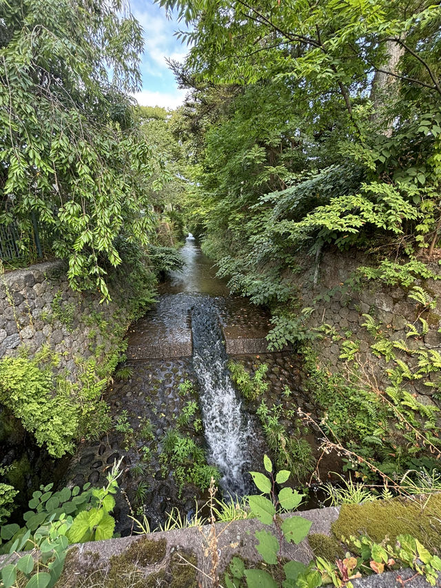 Kanazawa: A peaceful gem with nature and art 🌿🎨