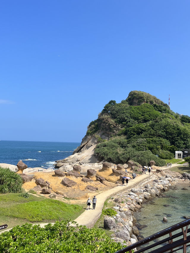 🍄Alien Landscape in Taiwan? Welcome to Yehliu's Mushroom Rocks!
