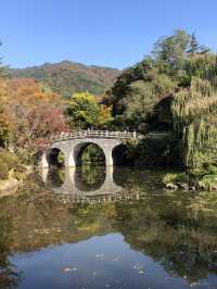 🏯 천년의 숨결을 따라 걷다, 경주 불국사 