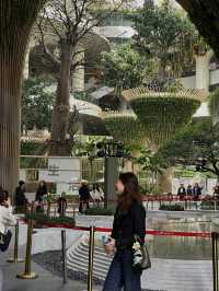 Discovering Nature at Vanke Mall in Bantian, Shenzhen 🇨🇳