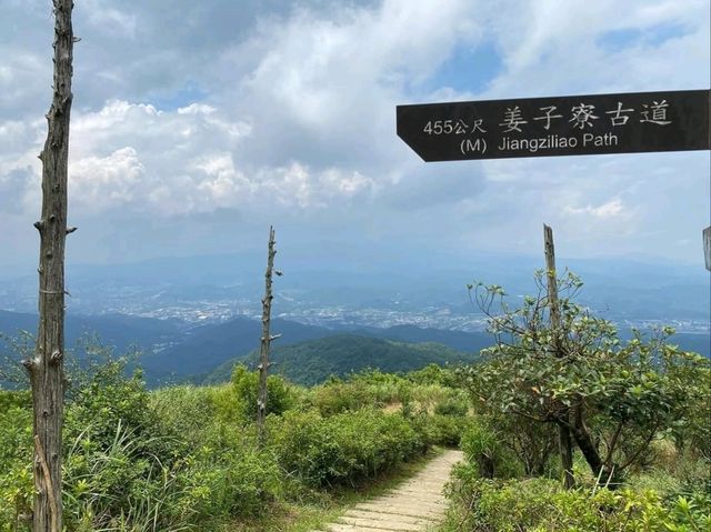 Hike Through Misty Forests
