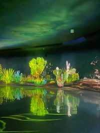 Enchanted forest light show at the Greenhouse