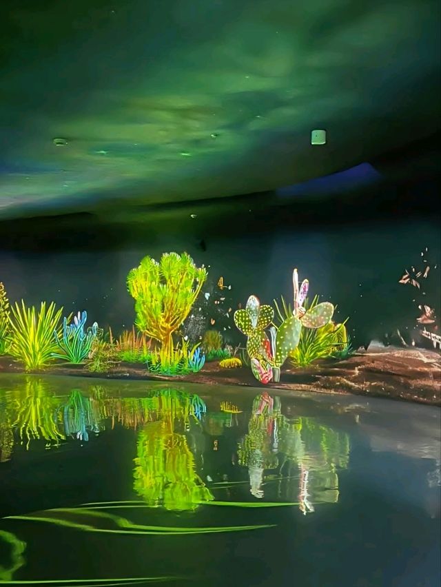 Enchanted forest light show at the Greenhouse