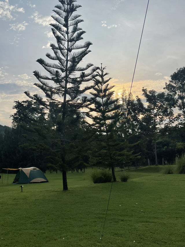 Camping Camping