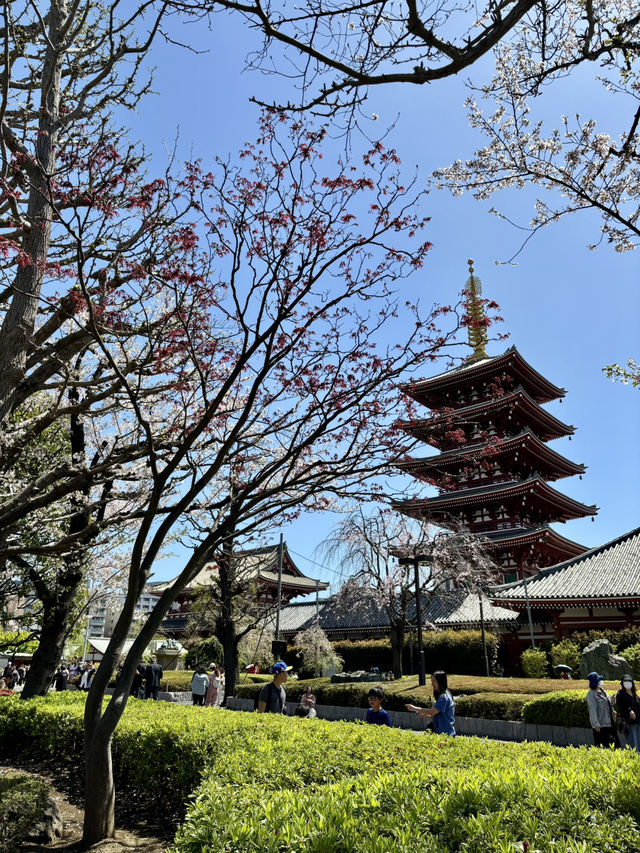 【東京】浅草寺
