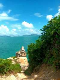 Panoramic Views from the Top