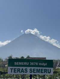 A trip around East Java 
